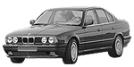 BMW E34 P291E Fault Code