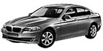 BMW F10 P291E Fault Code